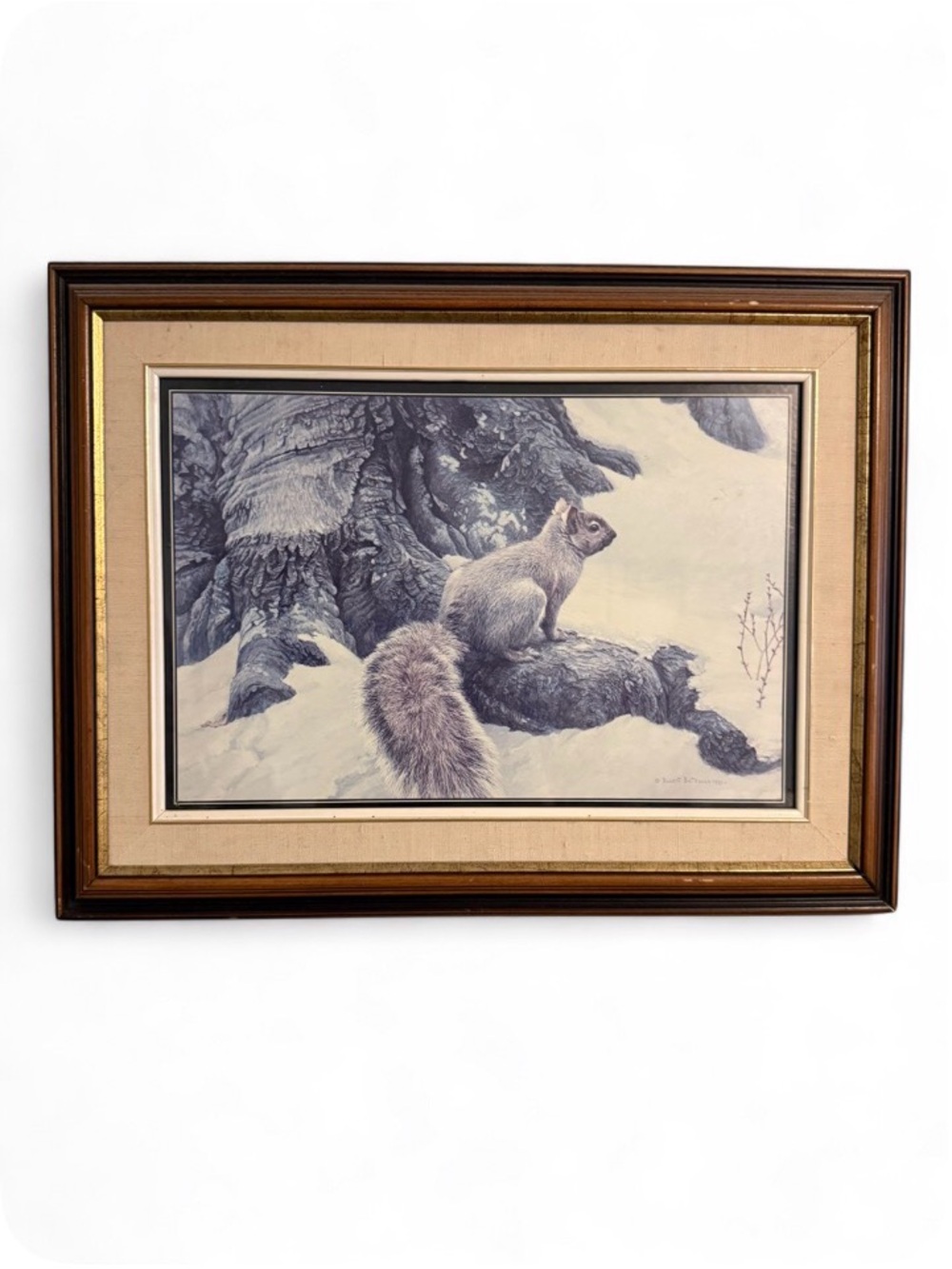 Vintage Robert BATEMAN Framed 1981 Gray Squirrel Reproduction Print